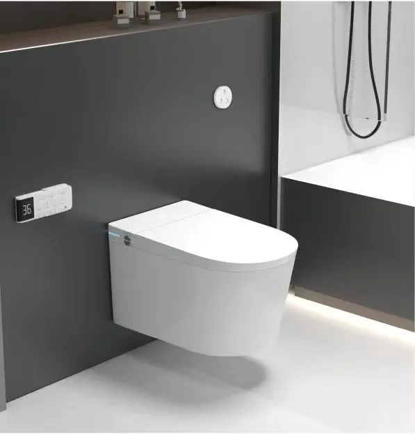 Wall hung toilet